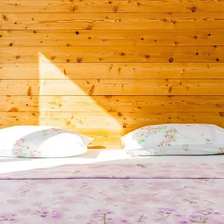 Guest house Mika